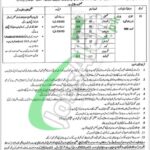 District Health Authority Rawalpindi Jobs