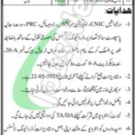 Sindh Service Tribunal Jobs