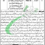 Session Court Killa Saifullah Jobs