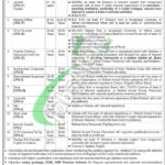 Karnal Sher Khan Cadet College Swabi Jobs 