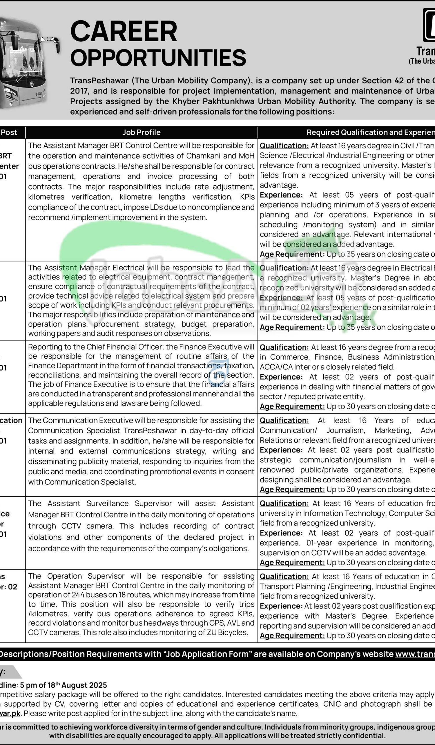 TransPeshawar Jobs