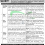 TransPeshawar Jobs