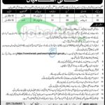Civil Court Nowshera Jobs