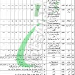 Fisheries and Coastal Development Department Balochistan Jobs