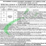 Muhammad Nawaz Sharif University of Agriculture Multan Jobs