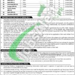 Session Court Larkana Jobs