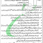 Tehsil Headquarter Hospital Pattoki Jobs