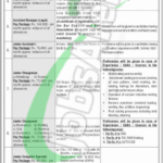 careerjobs1737 Jobs