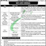 Bahria College Karsaz Jobs
