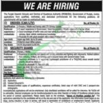 Punjab Daanish Schools and Centers of Excellence Authority Jobs