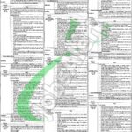 Finance Department Punjab Jobs