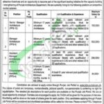Communication and Works Department Punjab Jobs