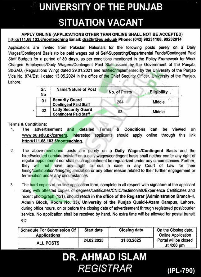 Punjab University Careers