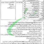 Excise & Taxation Punjab Jobs