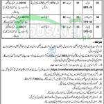 Session Court Nowshera Jobs