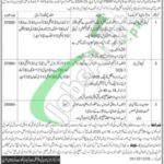 Population Welfare Department Balochistan Jobs