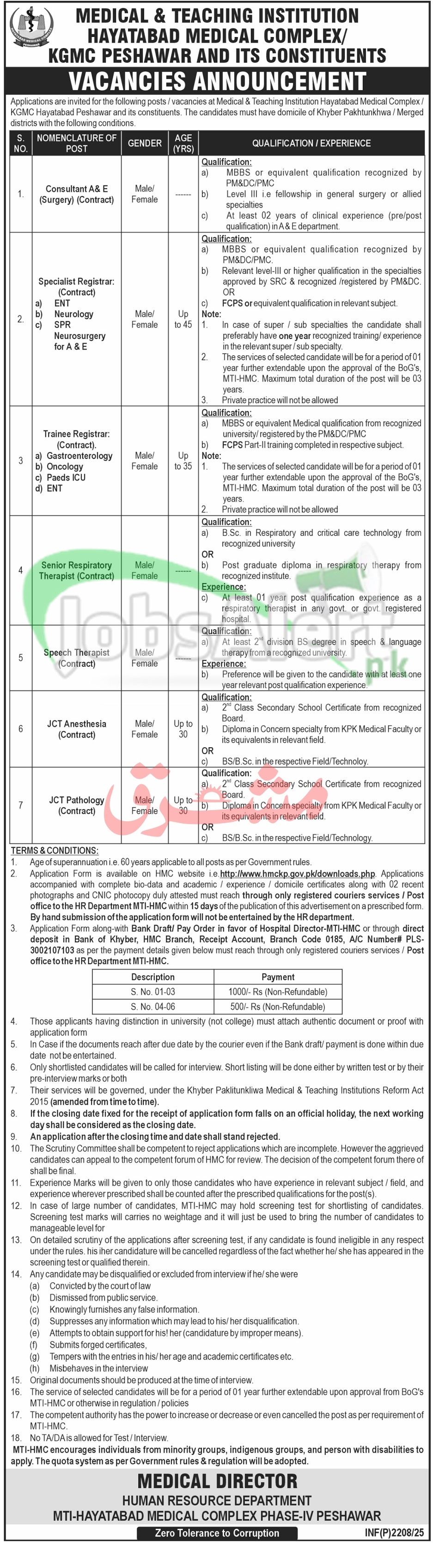 Hayatabad Medical Complex Jobs