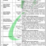 Ministry of Commerce Jobs