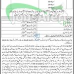 Elementary & Secondary Education Department KPK Jobs