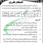 Civil Court Dadyal Jobs