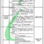 Punjab Human Capital Investment Project Jobs