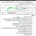 Session Court Hangu Jobs