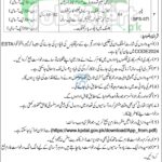 Directorate of Archives & Libraries KPK Jobs 2026 Current Vacancies Directorate of Archives & Libraries KPK Jobs