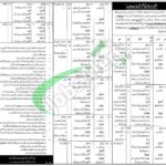 Punjab Jail Police Jobs 2026 Online Apply | www.jobs.punjab.gov.pk Punjab Jail Police Jobs Ad