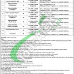 DPS Sheikhupura Jobs