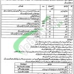 Population Welfare Department Punjab Jobs 2026 Lahore Vacancies Population Welfare Department Punjab Jobs