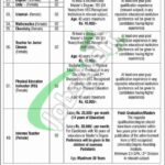 OPF Girls College Islamabad Jobs 2025 Overseas Pakistani Foundation OPF Girls College Islamabad Jobs
