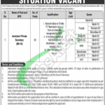 Finance Division Jobs