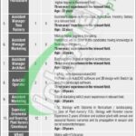CDA Jobs