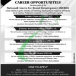 Ministry of Planning Development & Special Initiatives Jobs