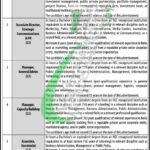 Public Private Partnership Authority Jobs