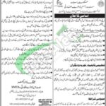 Sindh Mass Transit Authority Jobs