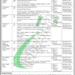 PCAA Jobs
