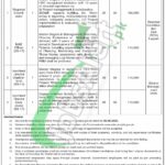 Punjab Planning and Development Department Jobs