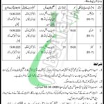 Mines & Minerals Department Punjab Jobs