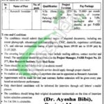 PARB Jobs