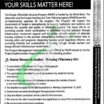 Punjab Housing and Town Planning Agency Careers