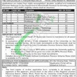 Application Form www.pu.edu.pk Punjab University Jobs 2026 Last Date Punjab University Jobs