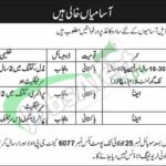 PO Box 6077 GPO Lahore Jobs 2026 Application Form Download PO Box 6077 GPO Lahore Jobs