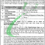 Punjab University Careers