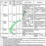 Tourism Archaeology and Museum Department Punjab Jobs