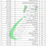 First Women Bank Jobs