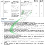 Cadet College Diamer Jobs 2026 For Lecturer Career Offers Cadet College Diamer Jobs