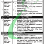 AJK IT Board Jobs