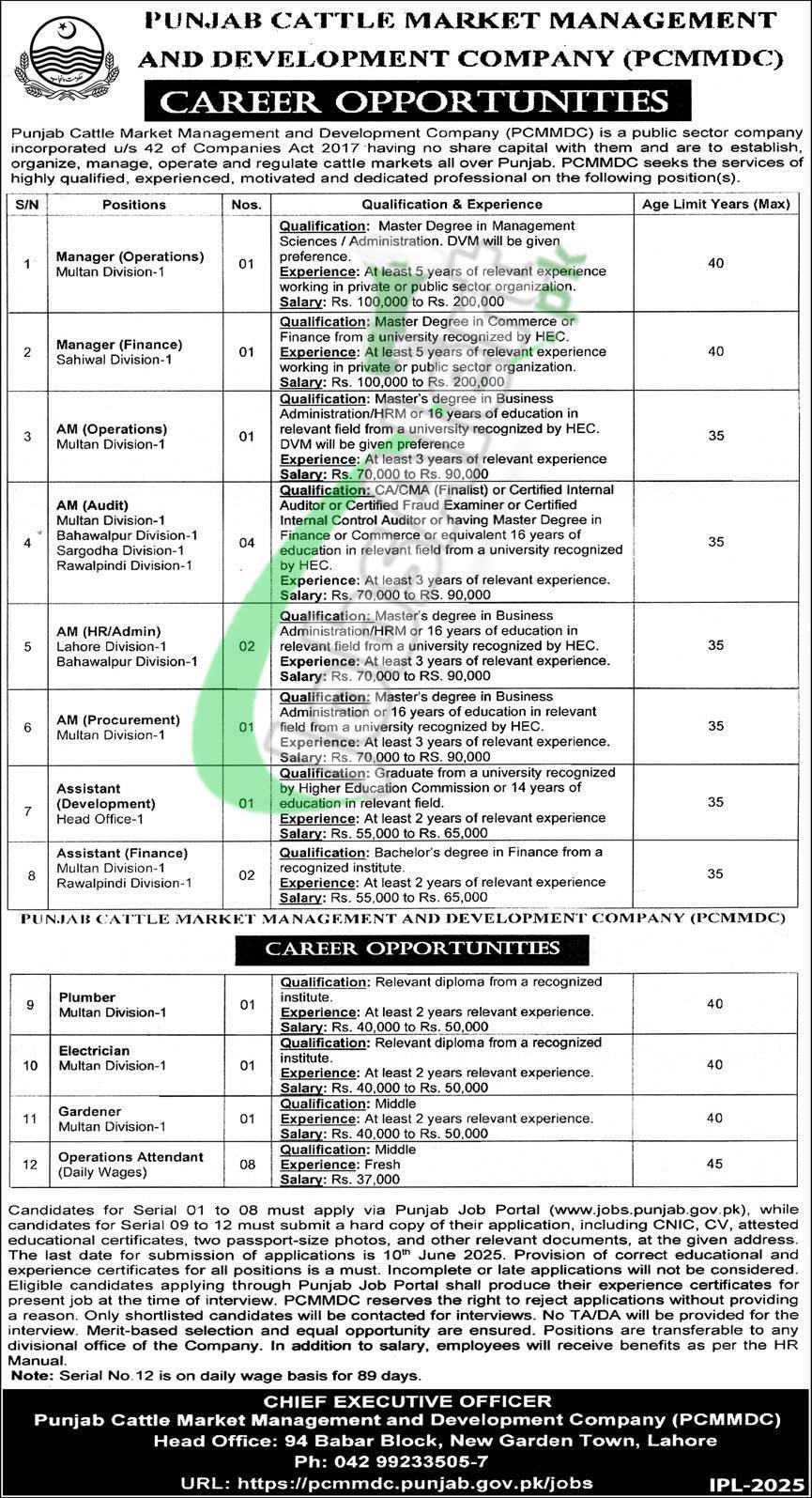 Punjab Cattle Market Management & Development Company Jobs