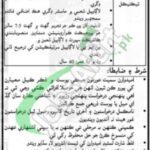 i work for sindh